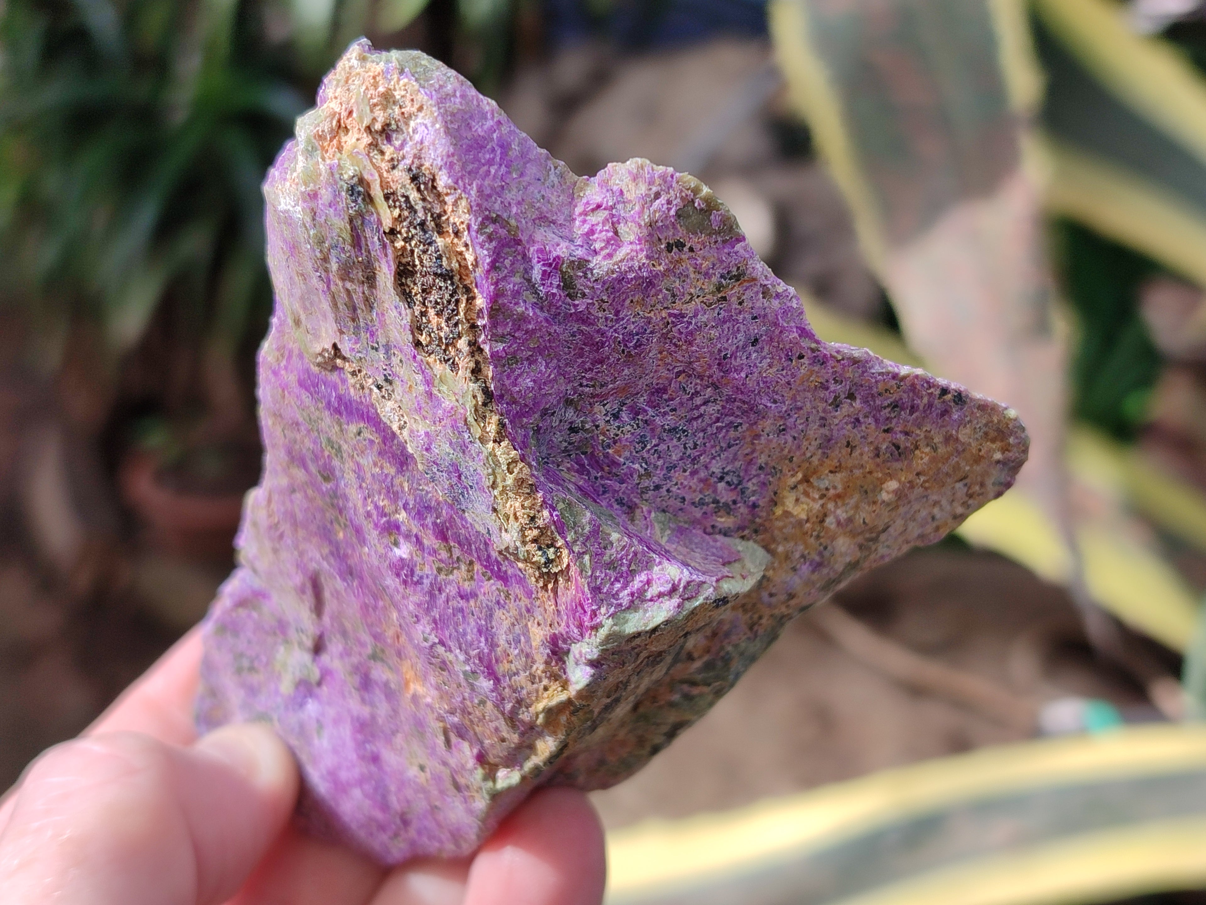 Natural Stichtite Cobbed Specimens x 12 From Barberton, South Africa - Toprock Gemstones and Minerals 
