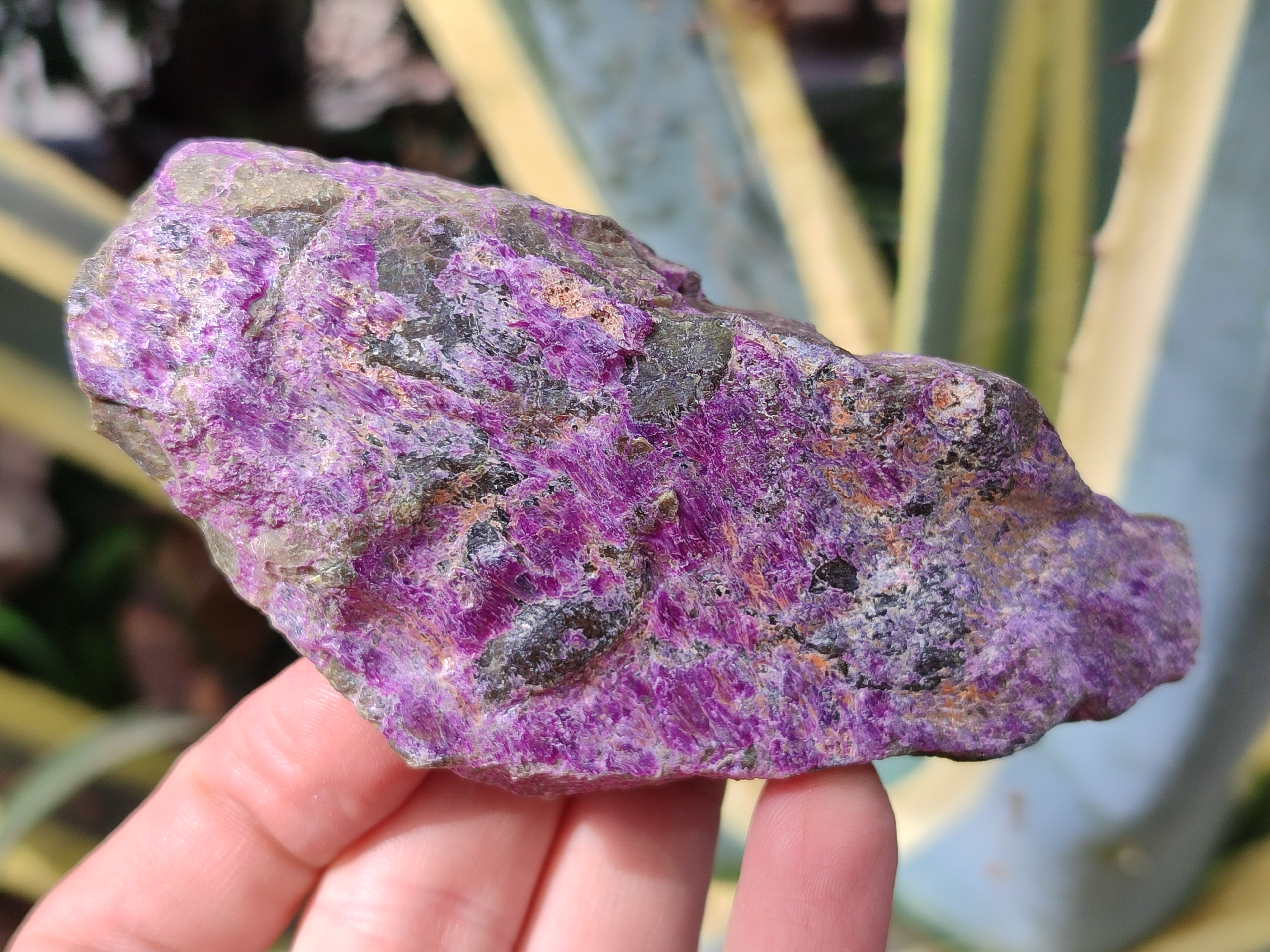 Natural Stichtite Cobbed Specimens x 12 From Barberton, South Africa - Toprock Gemstones and Minerals 