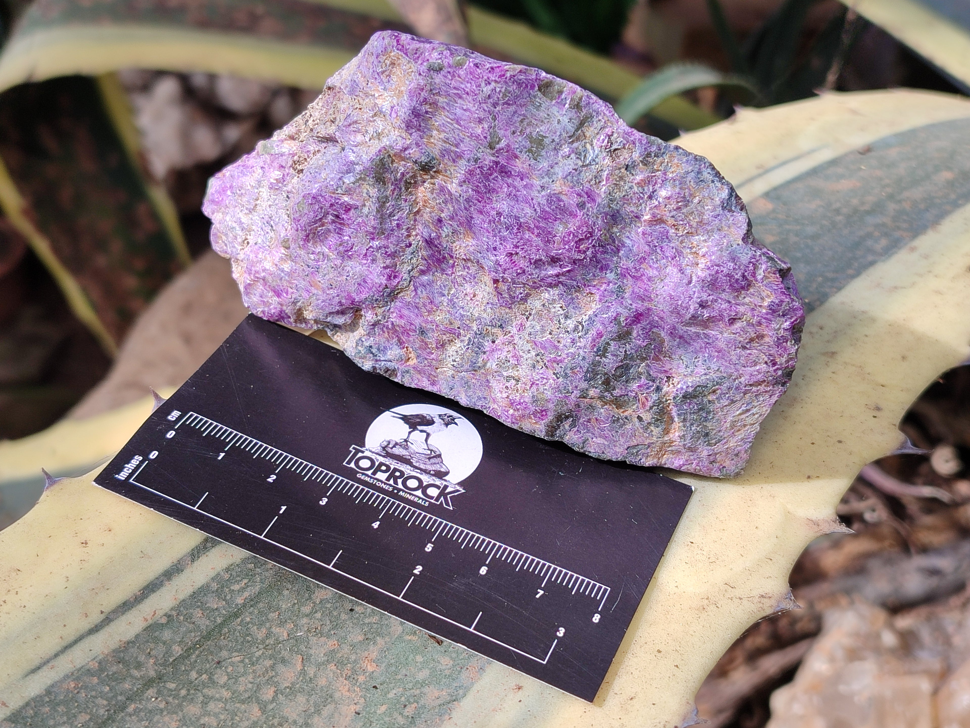 Natural Stichtite Cobbed Specimens x 12 From Barberton, South Africa - Toprock Gemstones and Minerals 