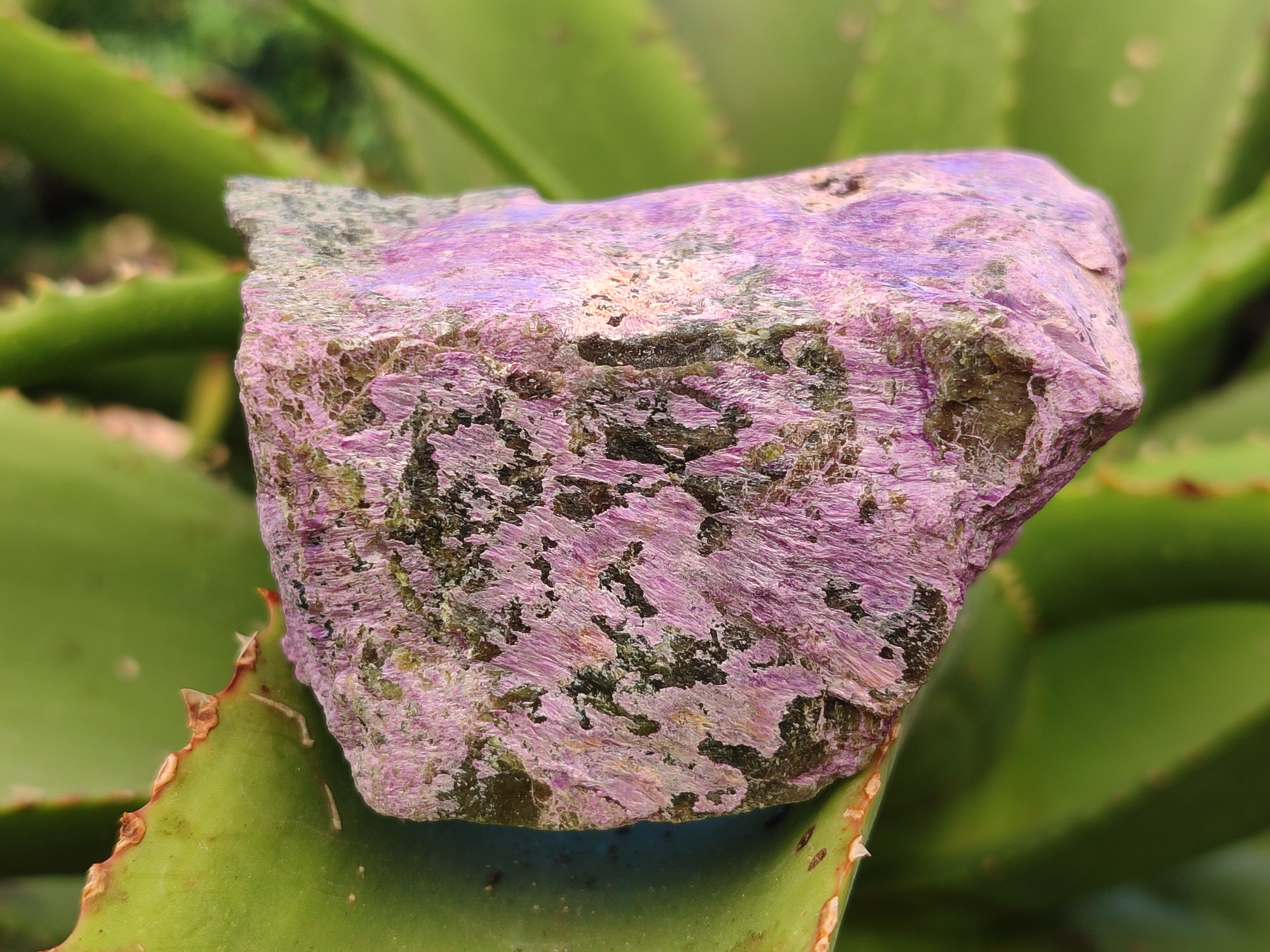 Natural Stichtite Cobbed Specimens x 12 From Barberton, South Africa - Toprock Gemstones and Minerals 