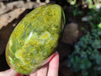 Polished Green Opal Standing Free Forms x 3 From Betroka, Madagascar