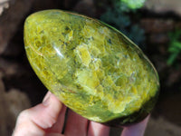 Polished Green Opal Standing Free Forms x 3 From Betroka, Madagascar
