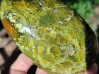 Polished Green Opal Standing Free Forms x 3 From Betroka, Madagascar