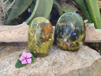 Polished Green Opal Standing Free Forms x 3 From Betroka, Madagascar