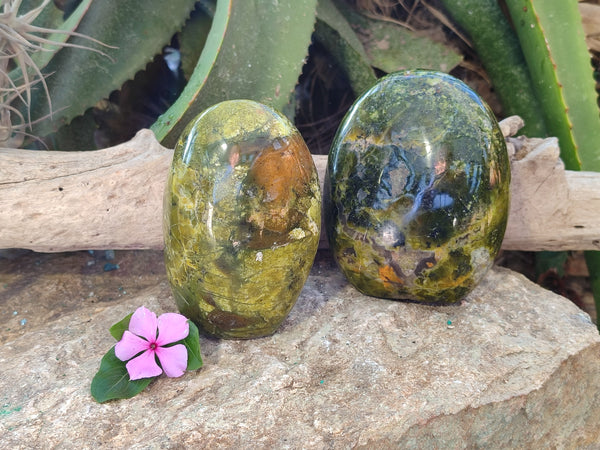 Polished Green Opal Standing Free Forms x 3 From Betroka, Madagascar