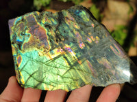 Polished On One Side Labradorite Plates x 6 From Tulear, Madagascar