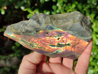 Polished On One Side Labradorite Plates x 6 From Tulear, Madagascar
