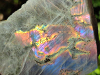 Polished On One Side Iridescent Labradorite Slabs x 6 From Tulear, Madagascar