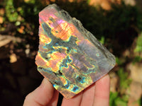 Polished On One Side Labradorite Plates x 6 From Tulear, Madagascar