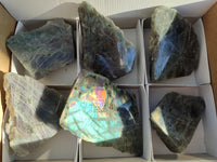 Polished On One Side Labradorite Plates x 6 From Tulear, Madagascar