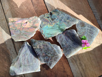 Polished On One Side Labradorite Plates x 6 From Tulear, Madagascar