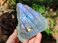 Polished On One Side Labradorite Plates x 6 From Tulear, Madagascar