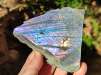 Polished On One Side Labradorite Plates x 6 From Tulear, Madagascar