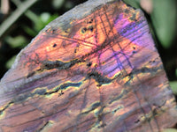 Polished On One Side Labradorite Plates x 6 From Tulear, Madagascar