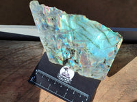 Polished On One Side Labradorite Plates x 6 From Tulear, Madagascar