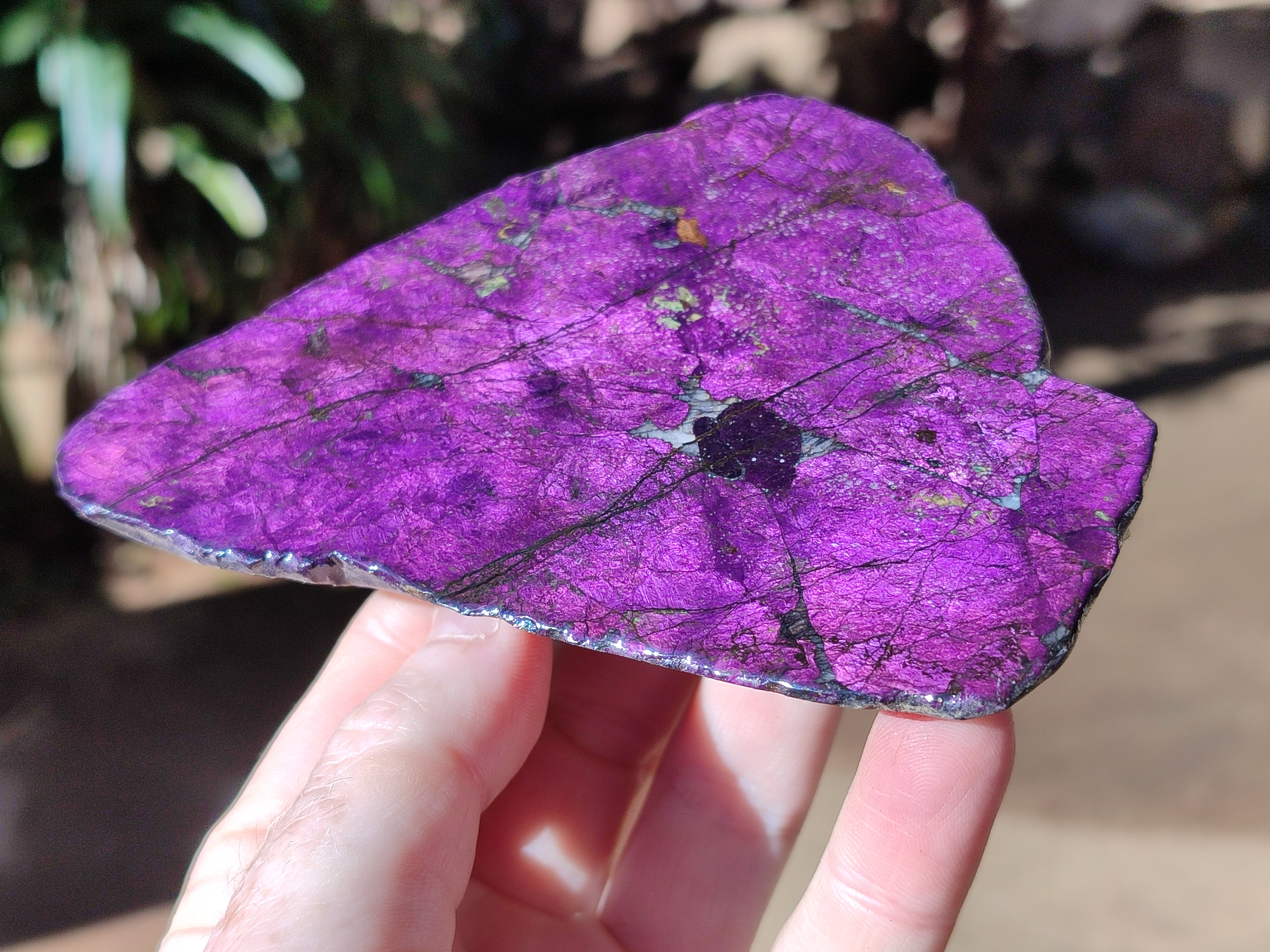 Polished On One Side Purpurite Slabs x 6 From Namibia - Toprock Gemstones and Minerals 