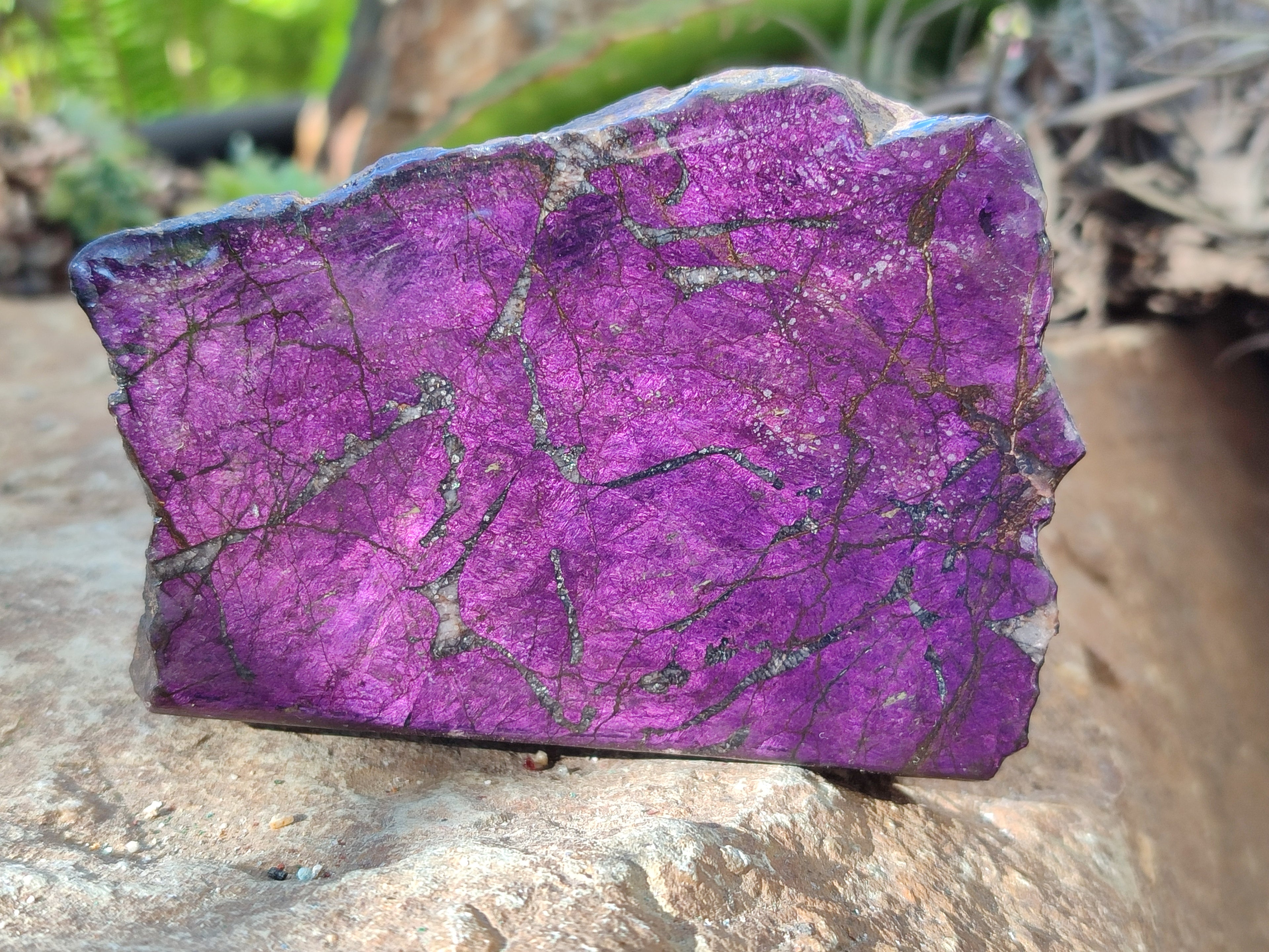 Polished On One Side Purpurite Slabs x 6 From Namibia - Toprock Gemstones and Minerals 