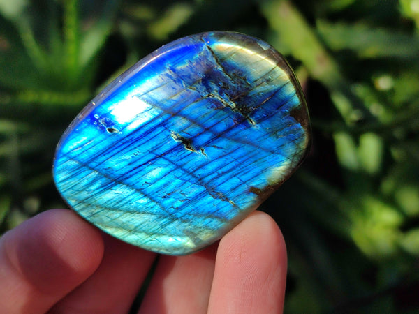 Polished Mini Labradorite Standing Free Forms x 25 From Tulear, Madagascar