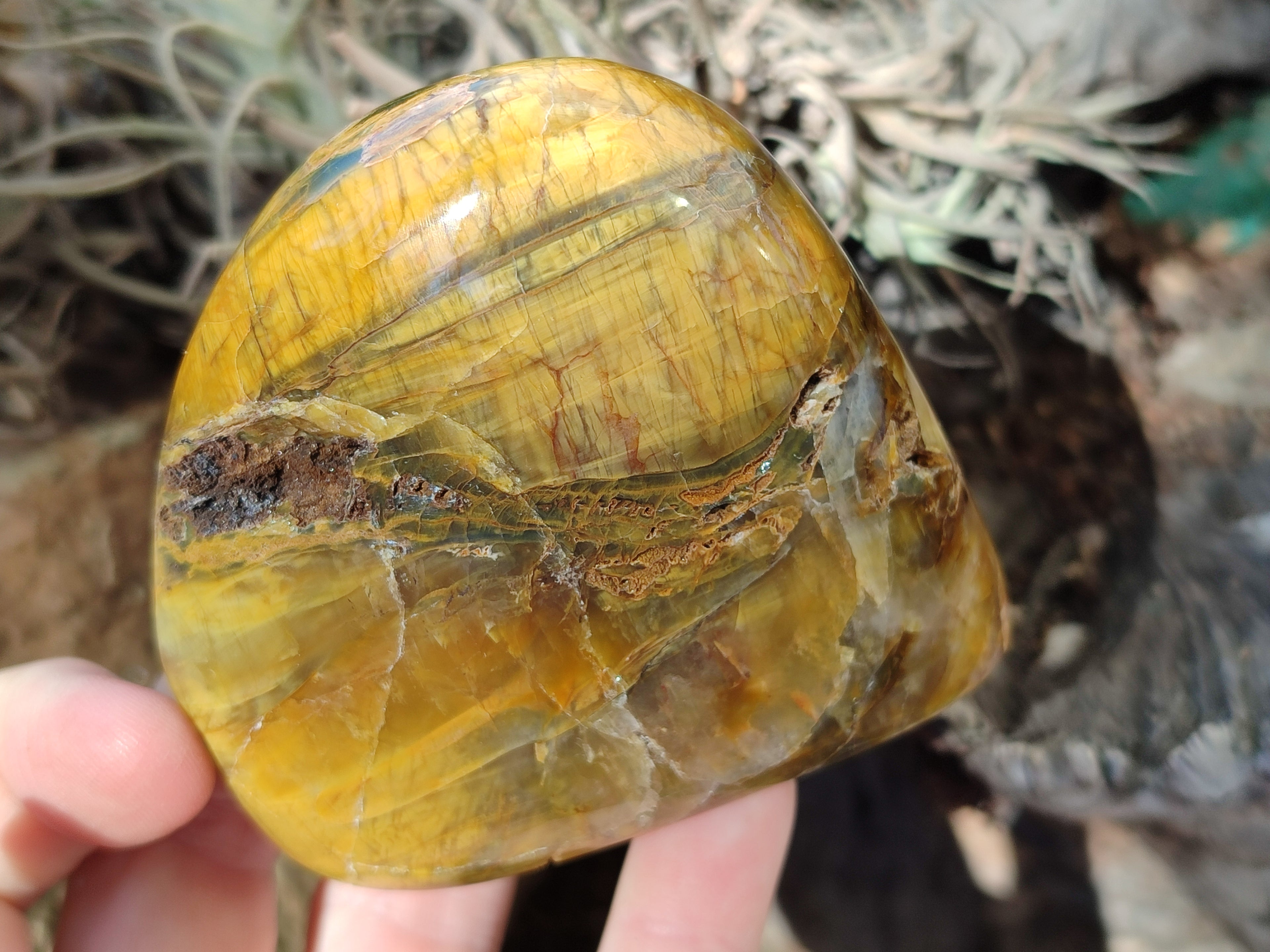 Polished Neolite Standing Free Forms x 6 From Prieska, South Africa - Toprock Gemstones and Minerals 