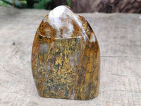 Polished Neolite Standing Free Forms x 6 From Prieska, South Africa