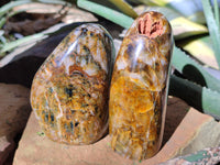 Polished Neolite Standing Free Forms x 6 From Prieska, South Africa