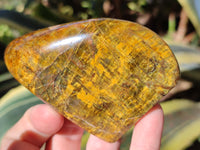 Polished Neolite Standing Free Forms x 6 From Prieska, South Africa