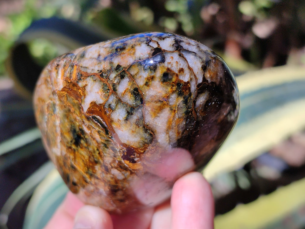 Polished Neolite Standing Free Forms x 6 From Prieska, South Africa - Toprock Gemstones and Minerals 