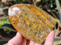 Polished Neolite Standing Free Forms x 6 From Prieska, South Africa