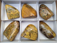 Polished Neolite Standing Free Forms x 6 From Prieska, South Africa