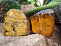 Polished Neolite Standing Free Forms x 6 From Prieska, South Africa