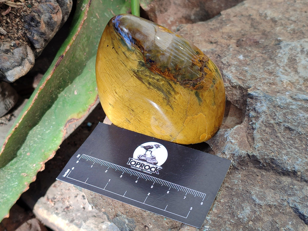 Polished Neolite Standing Free Forms x 6 From Prieska, South Africa - Toprock Gemstones and Minerals 