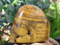 Polished Neolite Standing Free Forms x 6 From Prieska, South Africa