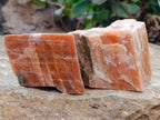 Natural Sunset Orange Calcite Specimens x 12 From Spitzkop, Namibia - Toprock Gemstones and Minerals 