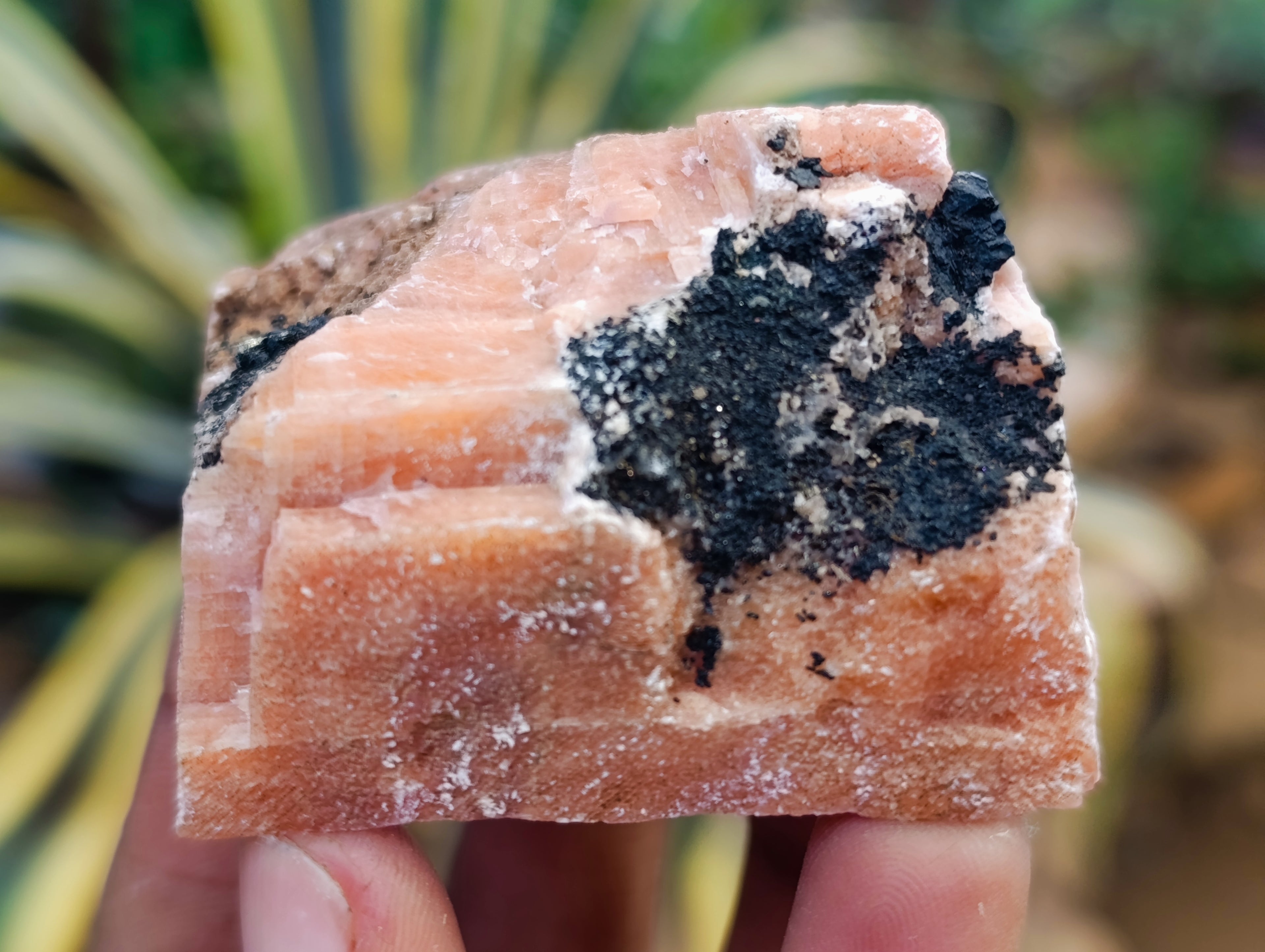 Natural Sunset Orange Calcite Specimens x 12 From Spitzkop, Namibia - Toprock Gemstones and Minerals 