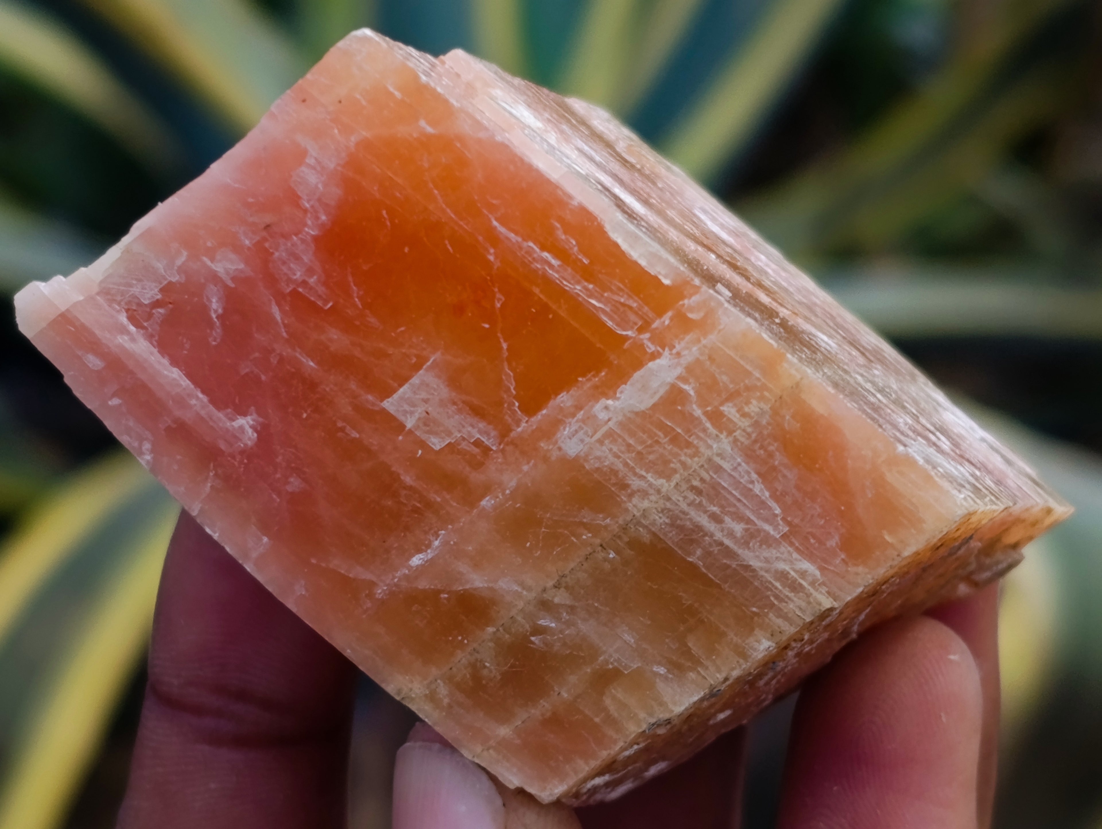 Natural Sunset Orange Calcite Specimens x 12 From Spitzkop, Namibia - Toprock Gemstones and Minerals 