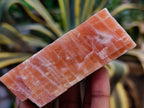 Natural Sunset Orange Calcite Specimens x 12 From Spitzkop, Namibia - Toprock Gemstones and Minerals 