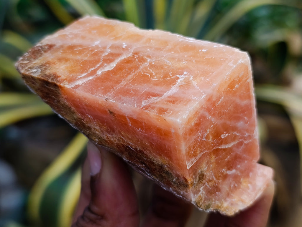 Natural Sunset Orange Calcite Specimens x 12 From Spitzkop, Namibia - Toprock Gemstones and Minerals 