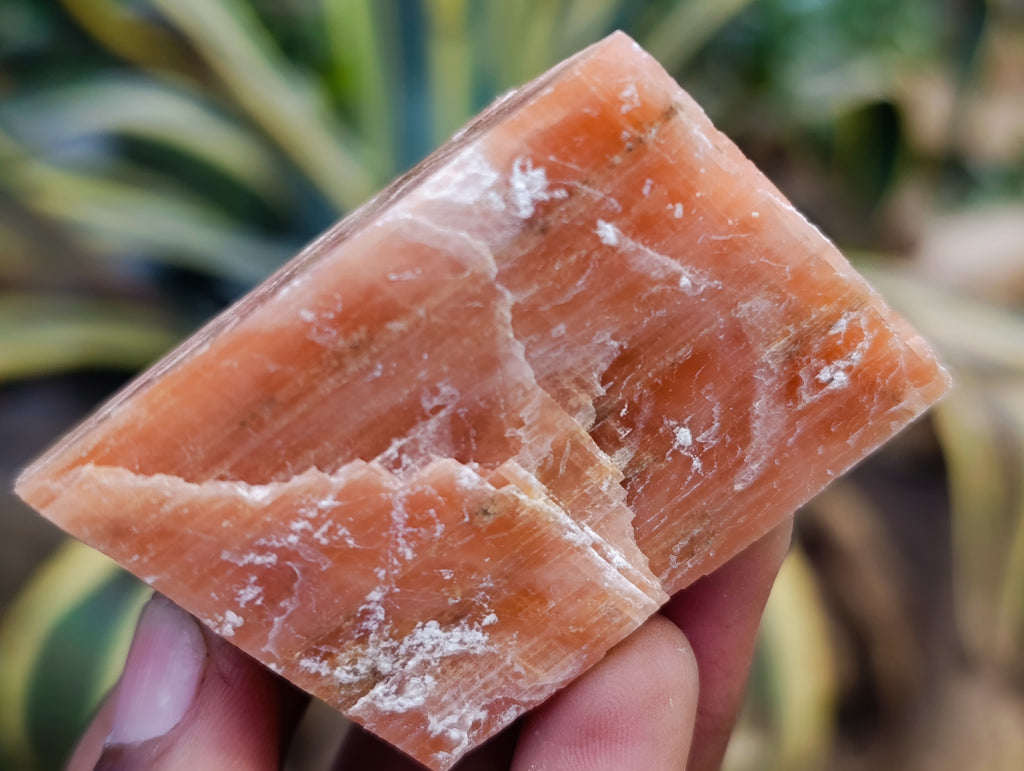 Natural Sunset Orange Calcite Specimens x 12 From Spitzkop, Namibia - Toprock Gemstones and Minerals 