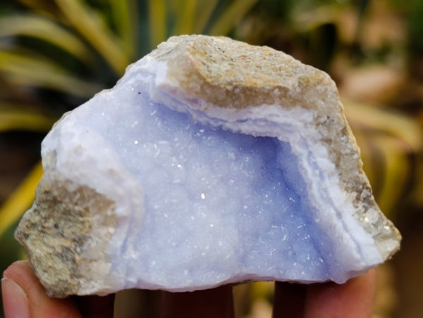 Natural Blue Lace Agate Geode Specimens x 24 From Nsanje, Malawi
