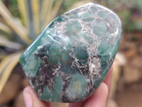 Polished Emerald Mica In Matrix Standing Free Forms x 3 From Mutoko, Zimbabwe