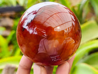 Polished Carnelian Spheres x 4 From Madagascar
