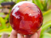 Polished Carnelian Spheres x 4 From Madagascar