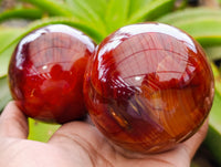 Polished Carnelian Spheres x 4 From Madagascar