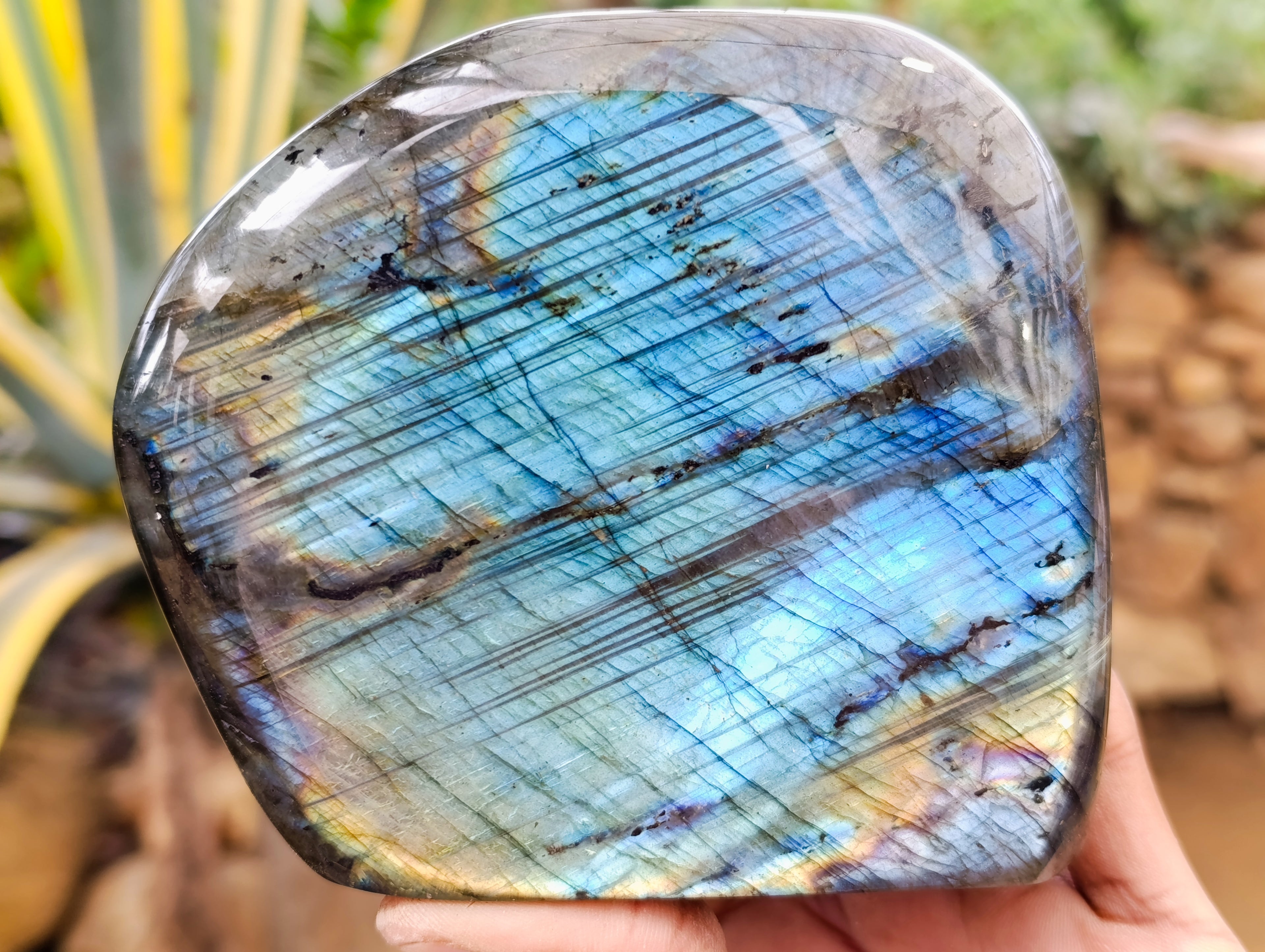 Polished Labradorite Standing Free Form x 1 From Tulear, Madagascar - Toprock Gemstones and Minerals 