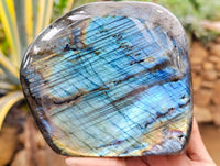 Polished Labradorite Standing Free Form x 1 From Tulear, Madagascar