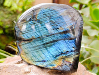 Polished Labradorite Standing Free Form x 1 From Tulear, Madagascar