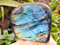 Polished Labradorite Standing Free Form x 1 From Tulear, Madagascar