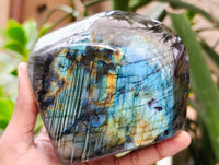 Polished Labradorite Standing Free Form x 1 From Tulear, Madagascar