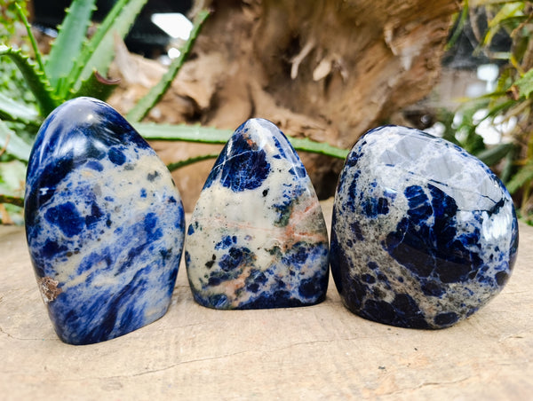 Polished Sodalite Standing Free Forms x 3 From Kunene River, Namibia