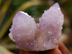 Natural Mixed Spirit Quartz Clusters x 35 From Boekenhouthoek, South Africa - Toprock Gemstones and Minerals 